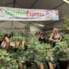 Ge At Flower Show - Garden Express Australia