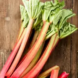 Rhubarb Giant Victoria Value Pack Rhubarb Giant Victoria Value Pack