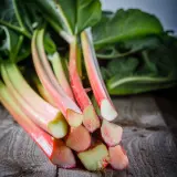 Rhubarb Giant Victoria Value Pack Rhubarb Giant Victoria Value Pack