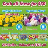 Value Pack Bundle Product 2 - Garden Express Australia