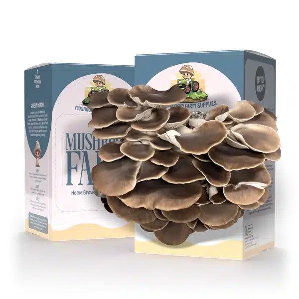 Mushroom Kit Chocolate Oyster
