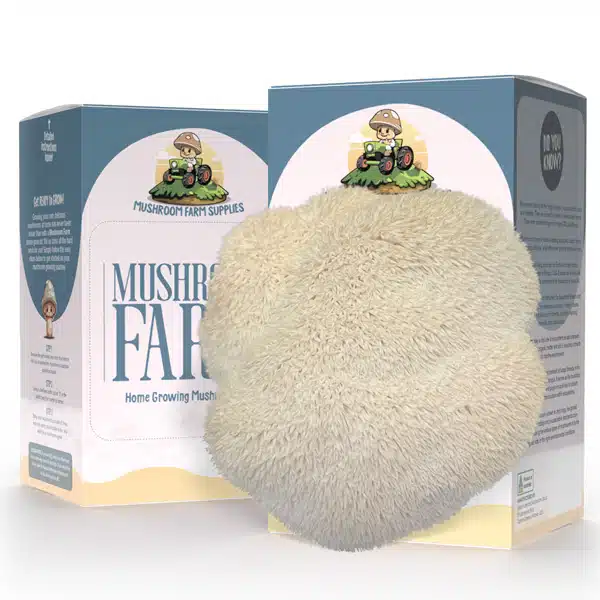 Mushroom Kit Lions Mane
