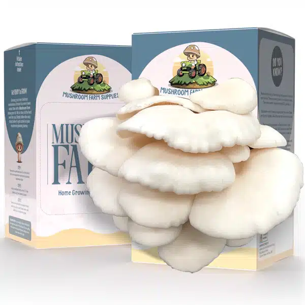 Mushroom Kit White Oyster