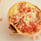 Pomegranate Elche Pomegranate Elche