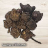 Yacon 10pack - Garden Express Australia
