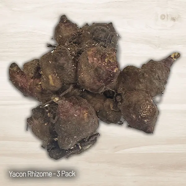 Yacon- Peruvian Ground Apple