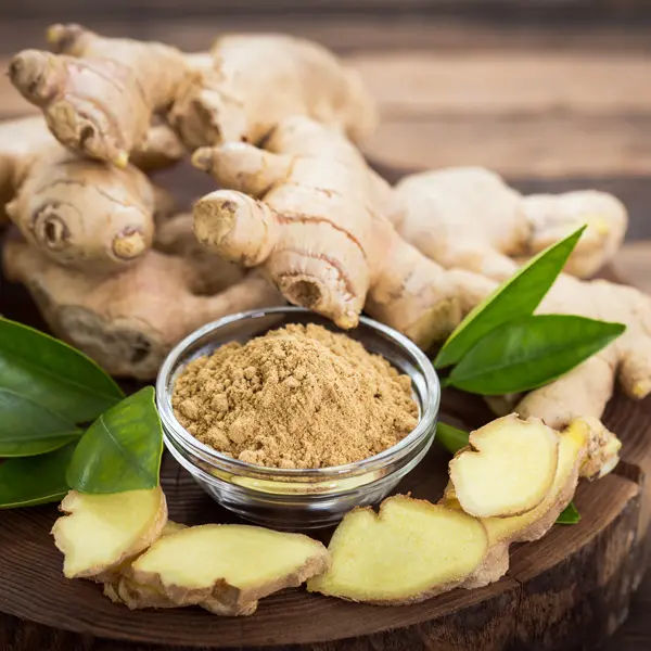 Zingiber – Edible Ginger