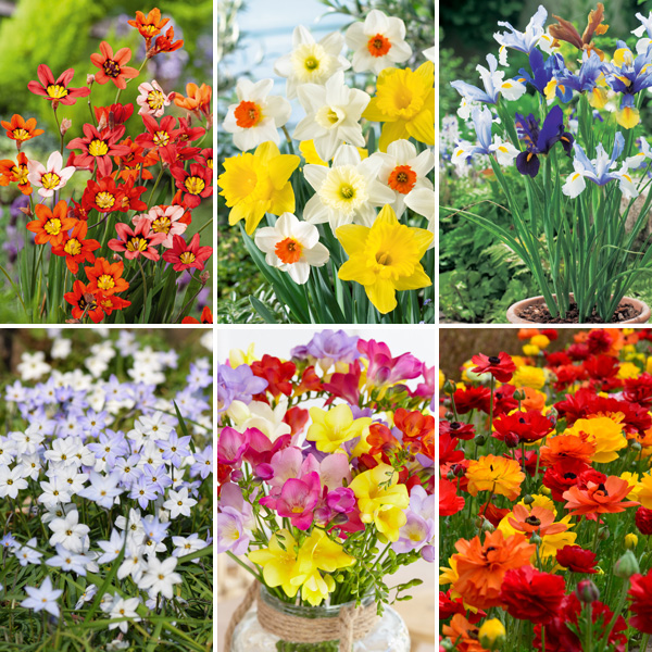 Gardeners Collection – Pre-order