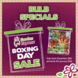 Bulb Specials