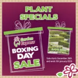 Plant Specials