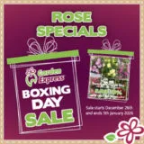 Rose Specials