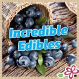 Incredible Edibles