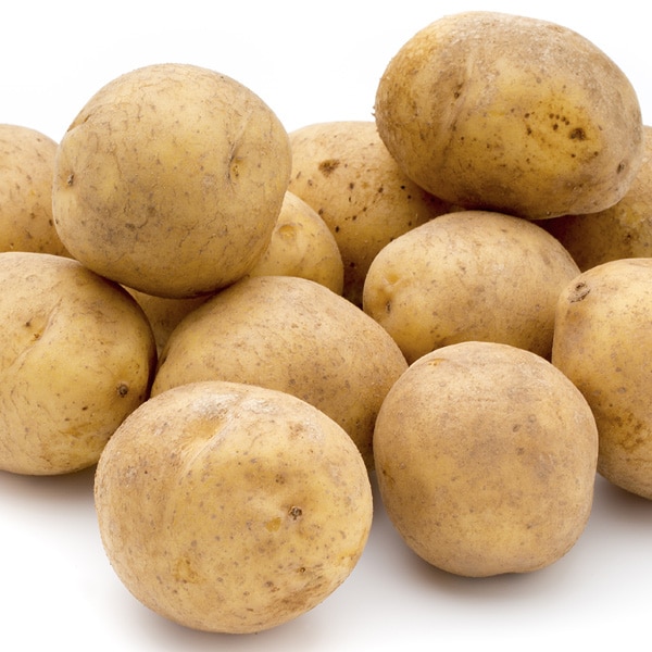 Certified Seed Potato Bliss Certified Seed Potato Bliss