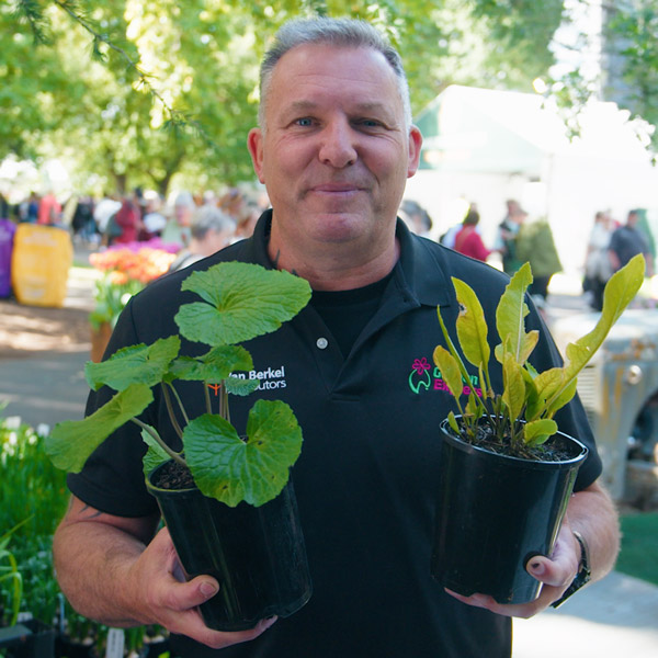 Grow Your Own Wasabi And Horseradish