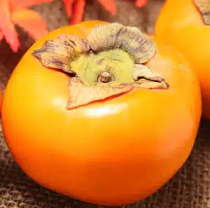 Persimmon Fuyu