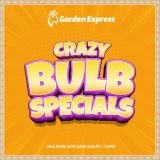 Bulb Specials
