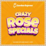 Rose Specials